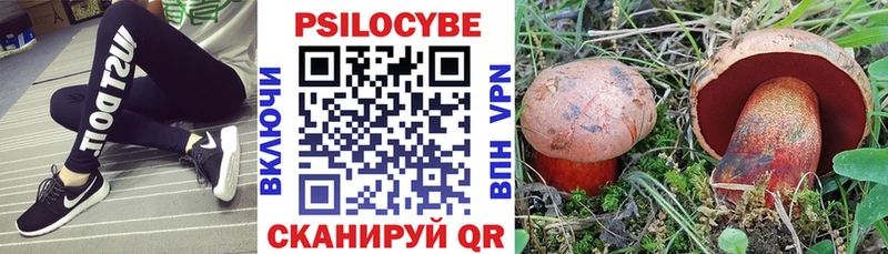 Псилоцибиновые грибы Psilocybine cubensis  Черняховск 